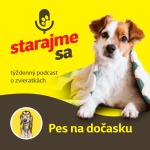 Obrázek epizody Psy: Pes na dočasku