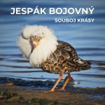 Obrázek epizody 64: Tři strategie, jak zaujmout samičku | Jespák bojovný