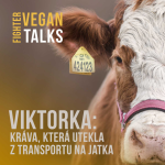 Obrázek epizody Viktorka: Kráva, která utekla z transportu na jatka | Vegan Fighter Talks ep. 1