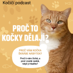 Obrázek epizody 12 PODCAST - 7 Proč to kočky dělají?