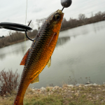 Obrázek epizody Předvánoční pozdrav od vody 29. díl