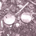 Obrázek epizody Killer Empathy