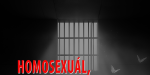 Obrázek epizody Motýl za katrem: Jak se žije "Pampeliškám" za katrem? Druhý díl příběhu muže, který se udal policii.