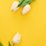 Obrázek epizody HOROSKOPY: Býci, nejsilnější zážitky vás čekají v milostné oblasti. Těšte se