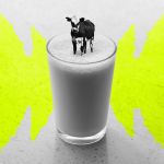 Obrázek epizody Big Little Questions