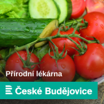 Obrázek epizody České kedlubny vynikají. Využijte toho, uvařte polévku, duste je, upečte placičky