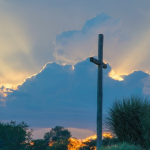 Obrázek epizody Žena osvobozená z ukrutná bolest v břiše.