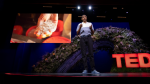 Obrázek epizody What seaweed and cow burps have to do with climate action | Ermias Kebreab