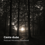 Obrázek epizody Cesta duše – jak k nám duše přicházejí, jak s námi komunikují a jak k nim přistupovat