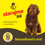 Obrázek epizody Psy: Starostlivosť o srsť