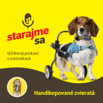 Obrázek epizody Psy: Handikepované zvieratá