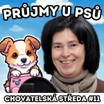 Obrázek epizody 👩‍⚕️PRŮJMY u PSŮ👩‍⚕️| Chovatelská středa #11