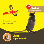 Obrázek epizody Drobné cicavce: Život s potkanmi