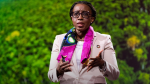 Obrázek epizody The African swamp protecting Earth's environment | Vera Songwe