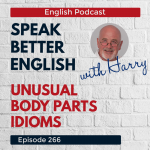 Obrázek epizody Speak Better English with Harry | Episode 266