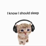 Obrázek epizody Estewes - I know I should sleep...