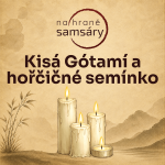 Obrázek epizody 14. Kisá Gótamí a hořčičné semínko