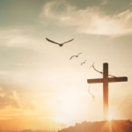 Obrázek epizody Mladá dáma osvobozena od hypertenze, hemoroidů a bolestí hlavy.