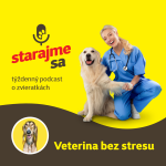 Obrázek epizody Psy: Veterina bez stresu