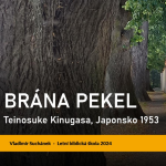 Obrázek epizody Brána pekel - Vladimír Suchánek