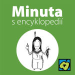 Obrázek epizody Skalp