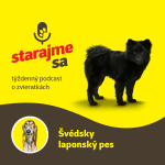 Obrázek epizody Psy: Švédsky laponský pes