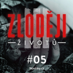 Obrázek epizody NAHÁ NEZNÁMÁ: Případ zavražděné ženy na Tachovsku je jedna velká záhada