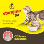 Obrázek epizody Mačky: OZ Pomoc mačičkám