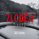 Obrázek epizody ŠÉF: Vrah s ocelově šedýma očima oběť rozřezal. Tělo vydávala Berounka po částech