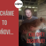 Obrázek epizody 2025-3-6-A