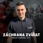 Obrázek epizody Od koček až po koně, aneb postupy při záchraně zvířat 🐈