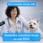 Obrázek epizody 👩‍⚕️ Jak na ALERGIE u PSŮ (část 2.) 👩‍⚕️ | Chovatelská středa #37