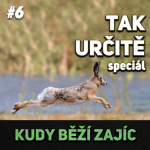 Obrázek epizody #6 LIGA JE LIGA