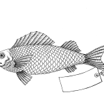 Obrázek epizody Why Fish Don't Exist