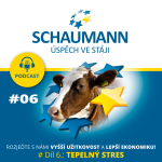 Obrázek epizody #Díl 6.: Schaumann - TEPELNÝ STRES