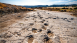 Obrázek epizody The dinosaur detectives of real-life Jurassic parks | Martin Lockley