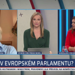 Obrázek epizody Hřib: Piráti nejsou na dně, nabízím zkušenosti. Do vedení je logickou volbou, míní experti