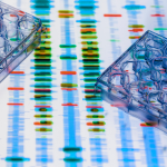 Obrázek epizody Nature or nurture: can genes shape our behaviour?
