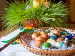 Obrázek epizody Velikonoční pondělí - tradice u nás a ve světě