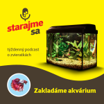 Obrázek epizody Starajme sa | Akvaristika: Zakladáme akvárium