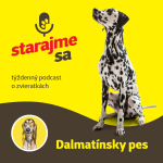 Obrázek epizody Psy: Dalmatínsky pes