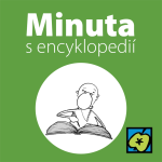 Obrázek epizody České slovníky