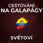Obrázek epizody Galapágy: Podobné místo nenajdete. S hravými lachtany máte o zábavu postaráno. | SVĚTOVÍ x OBZORY