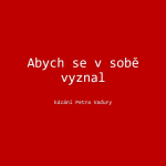 Obrázek epizody Abych se v sobě vyznal - Petr Vaďura