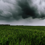 Obrázek epizody Spring Thunderstorms on the Plains | Rain and Thunder Sounds for Sleep