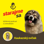 Obrázek epizody Psy: Kaukazský ovčiak