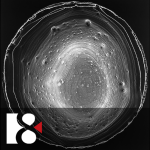 Obrázek epizody Křehkost a zranitelnost (20. října 205)