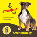 Obrázek epizody Psy: American bully