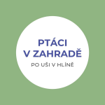 Obrázek epizody Ptáci v zahradách
