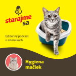 Obrázek epizody Mačky: Hygiena mačiek